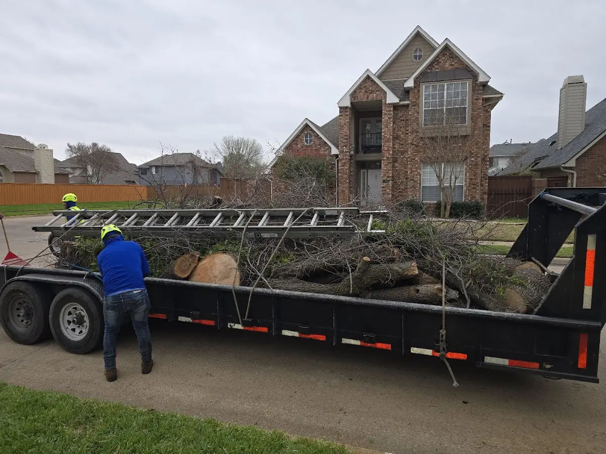 Expert Tree Fertilization with proper safety equipment in Hawkinsville